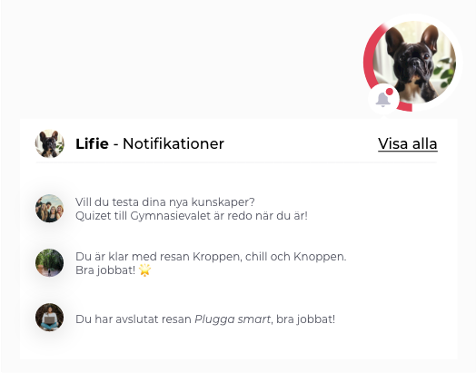 Sigvard_the_Coach.png