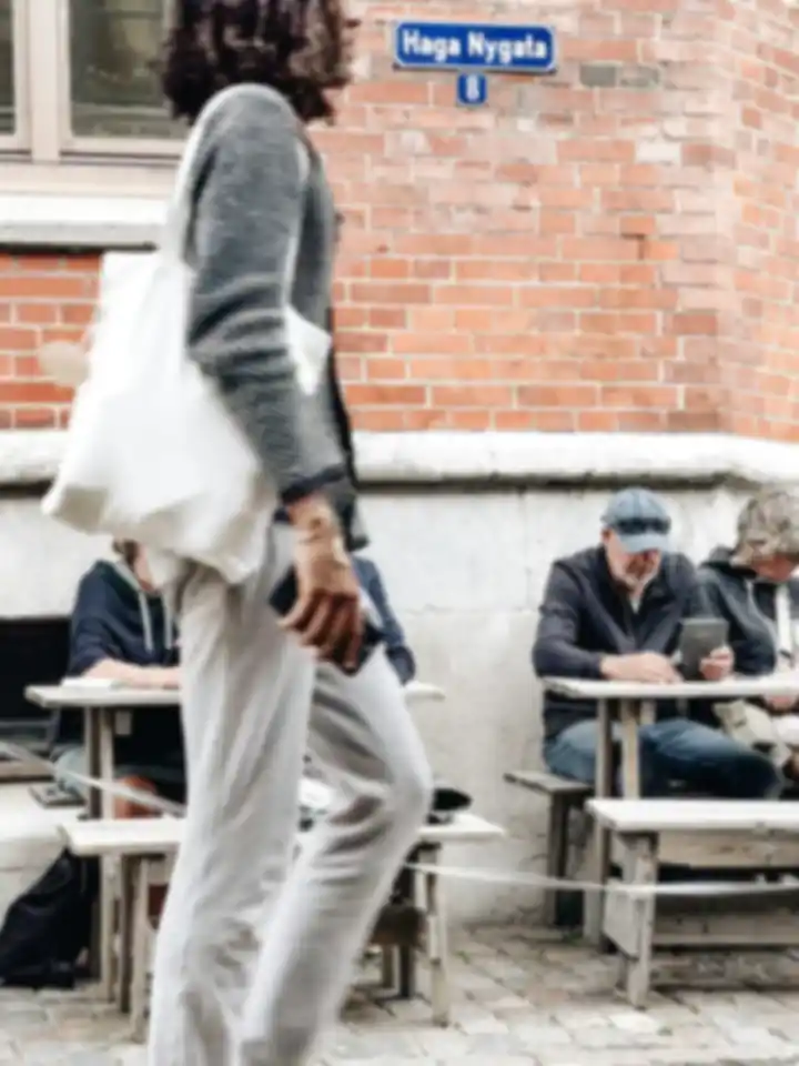 Svenska skolor och organisationer