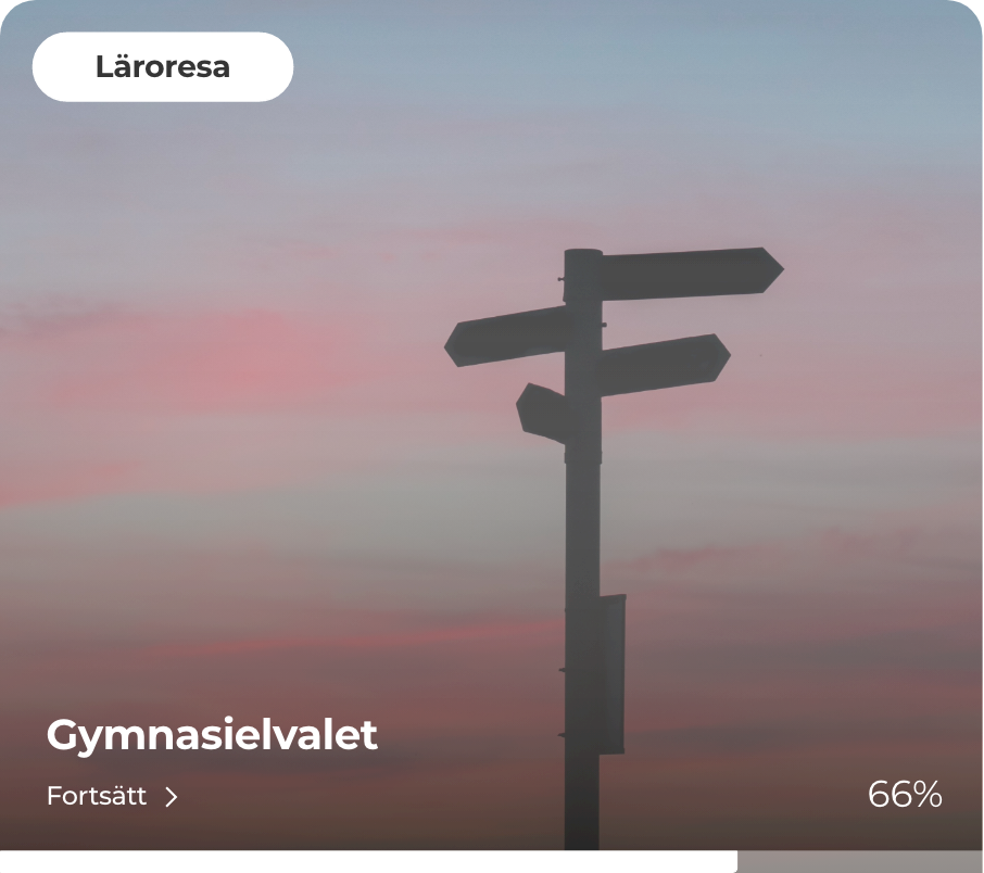 Gymnasievalet.png